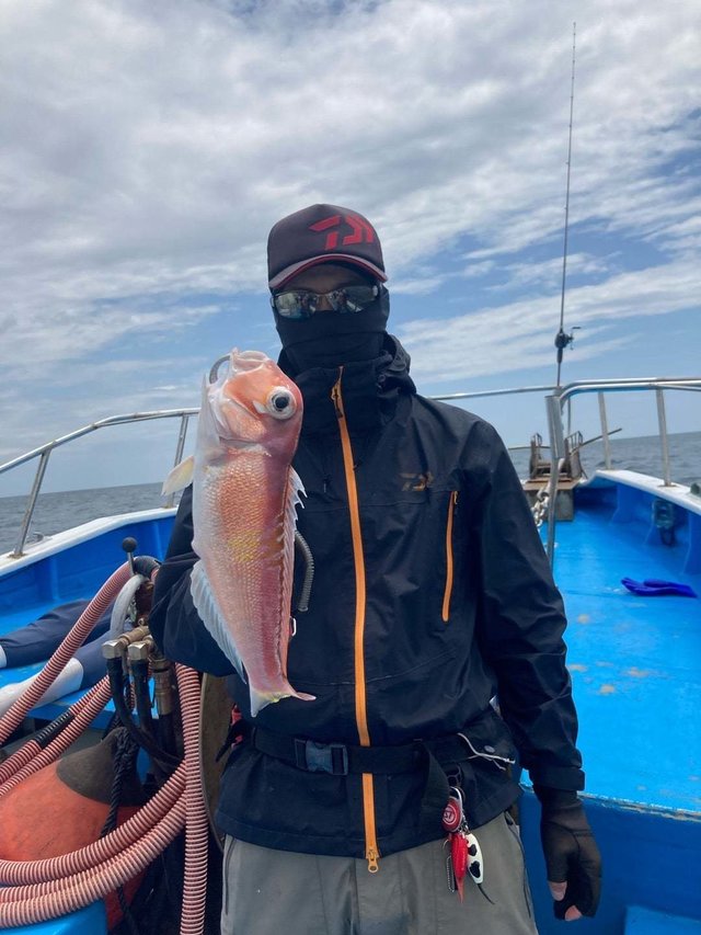 アマダイ(アカアマダイ)