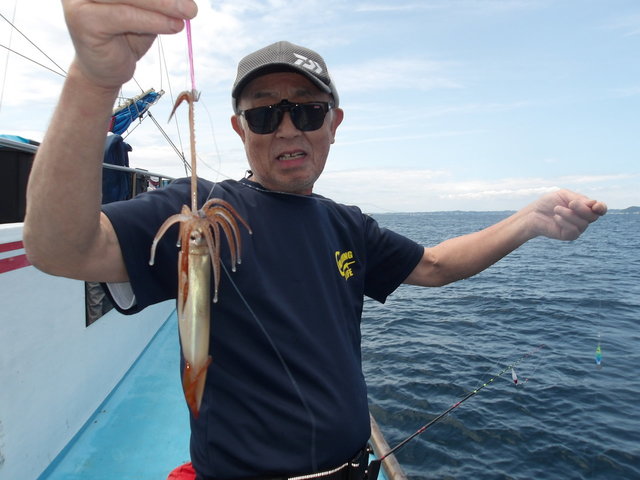 ムギイカ(スルメイカ)