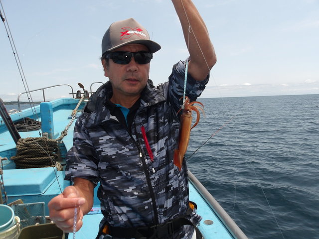 ムギイカ(スルメイカ)