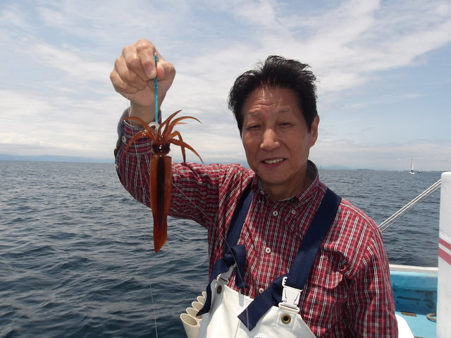 ムギイカ(スルメイカ)