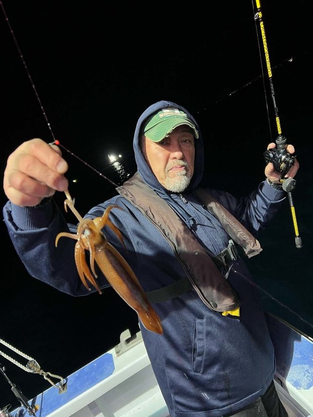 ムギイカ(スルメイカ)