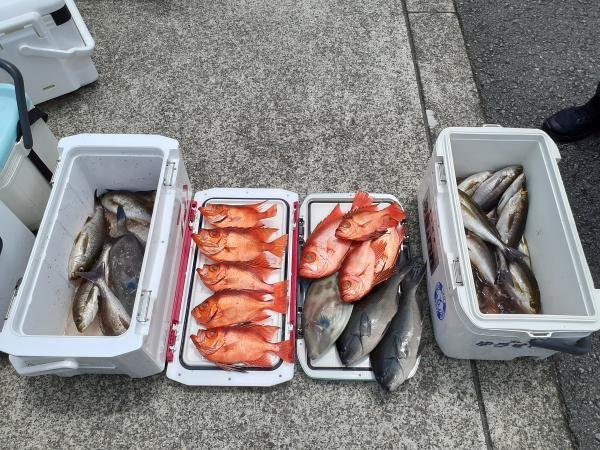 メジナ・イサキ・チカメキントキ・ウマヅラ(ウマヅラハギ)