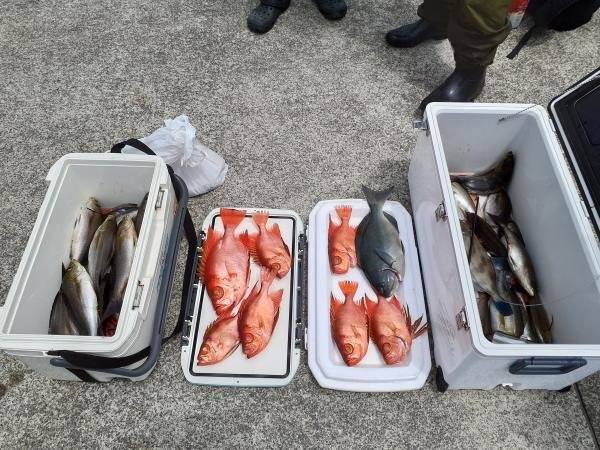 メジナ・イサキ・チカメキントキ