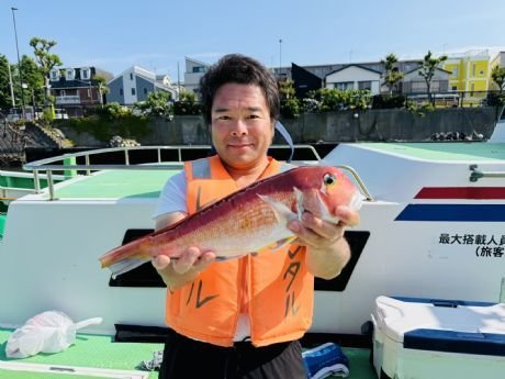 アマダイ(アカアマダイ)