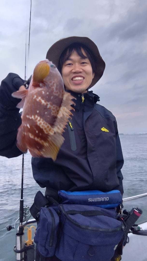 アコウ(キジハタ)