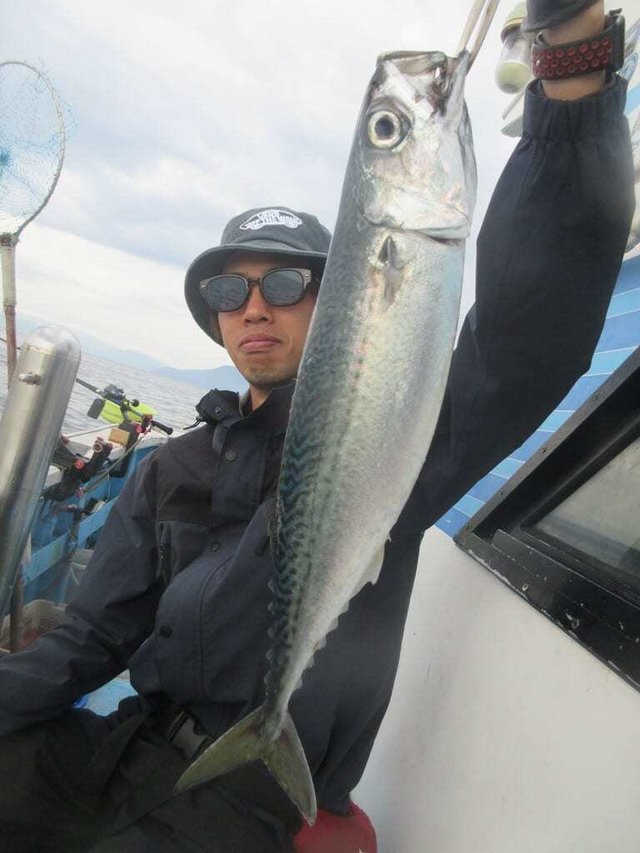 サバ(ゴマサバ)