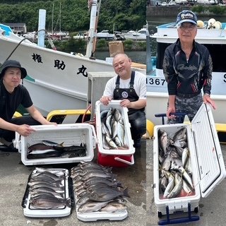 マアジ・イサキ