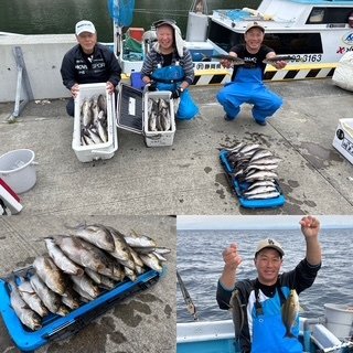 マアジ・イサキ