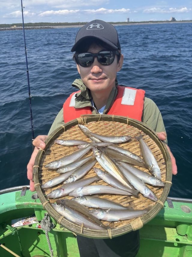 キス(シロギス)