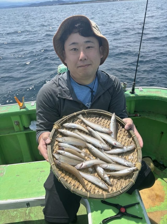 キス(シロギス)