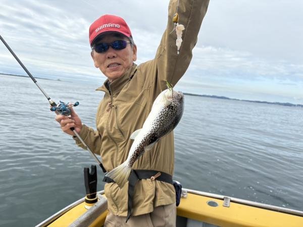 ショウサイフグ