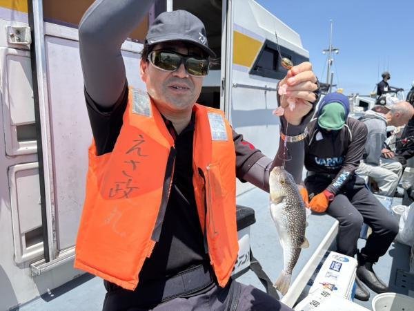 ショウサイフグ