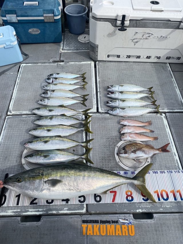 マダイ・ブリ・ハマチ(ブリ)・アマダイ(アカアマダイ)