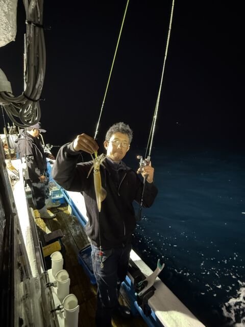 マイカ(ケンサキイカ)