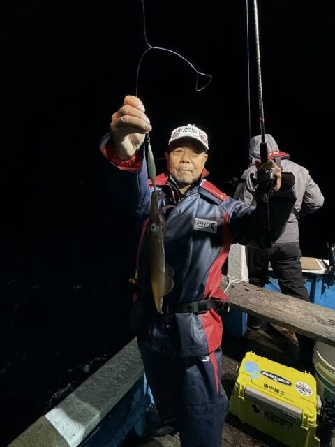 マイカ(ケンサキイカ)