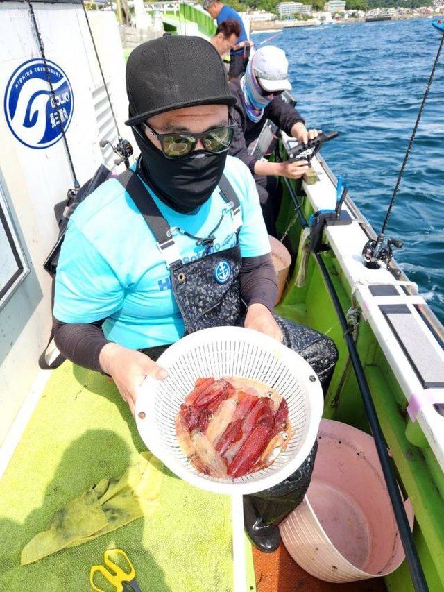 マルイカ(ケンサキイカ)