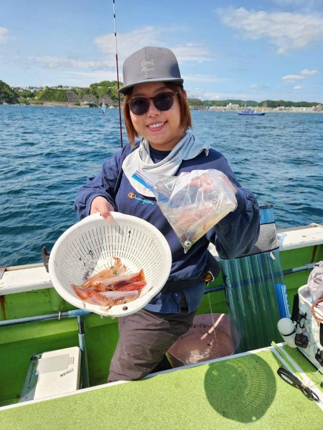 マルイカ(ケンサキイカ)