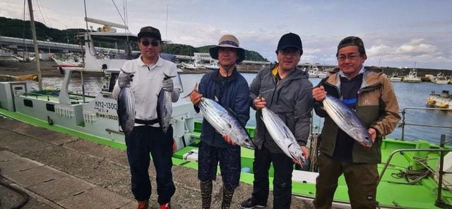 ホンガツオ(カツオ)