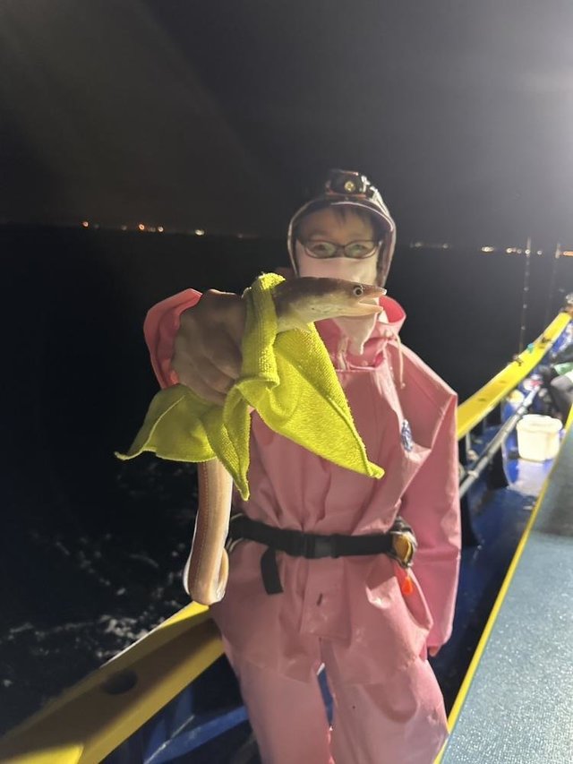 アナゴ(マアナゴ)