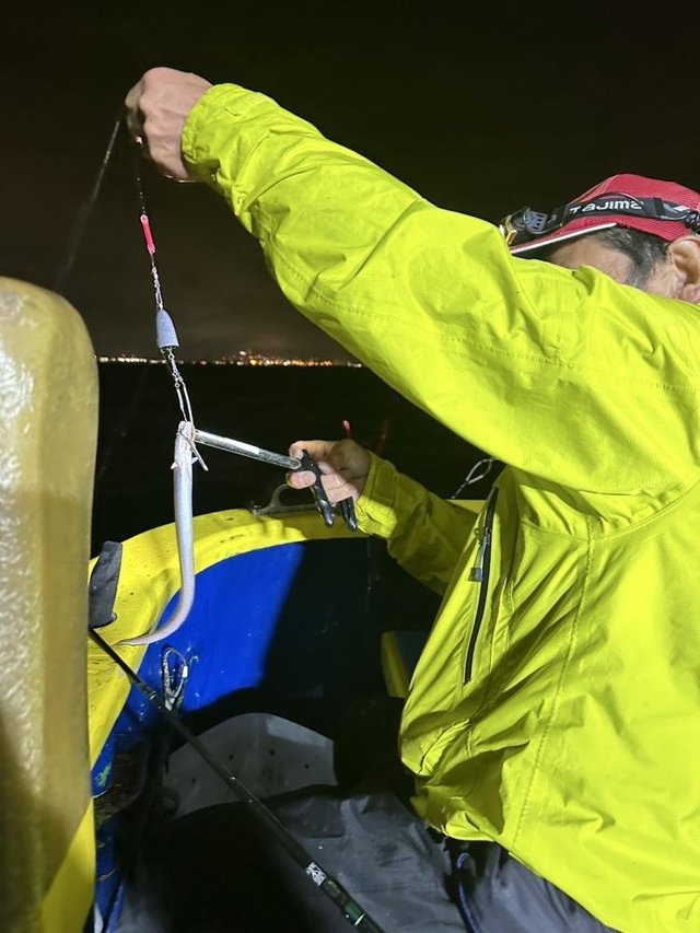 アナゴ(マアナゴ)