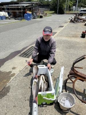 イサギ(イサキ)