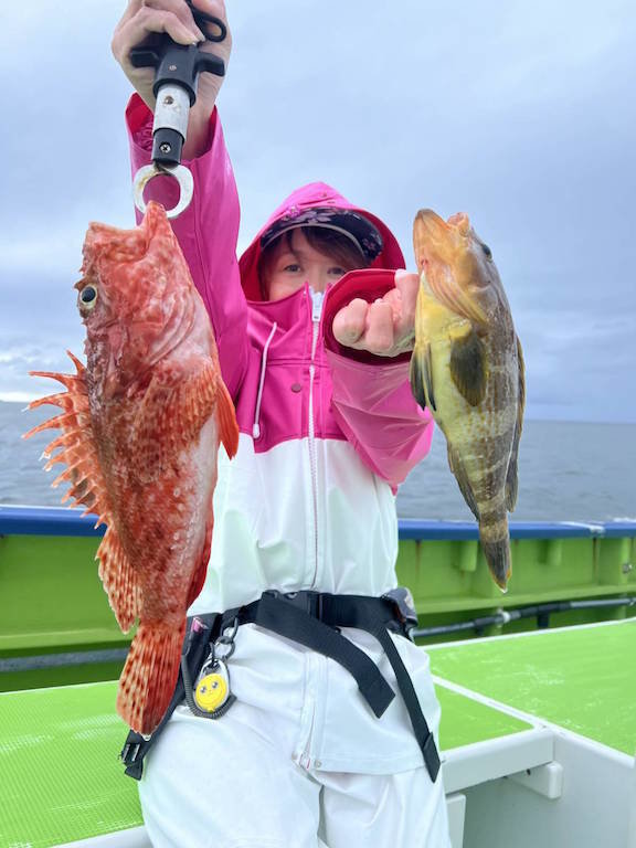 アオハタ・オニカサゴ