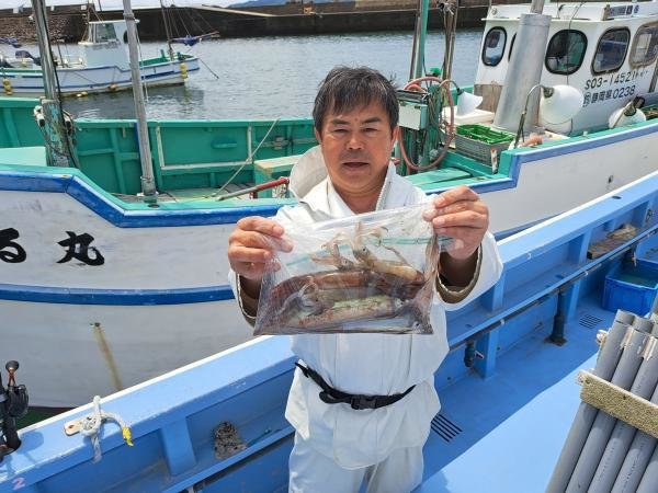 ムギイカ(スルメイカ)