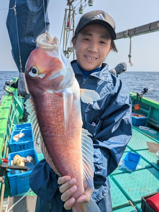 アマダイ(アカアマダイ)