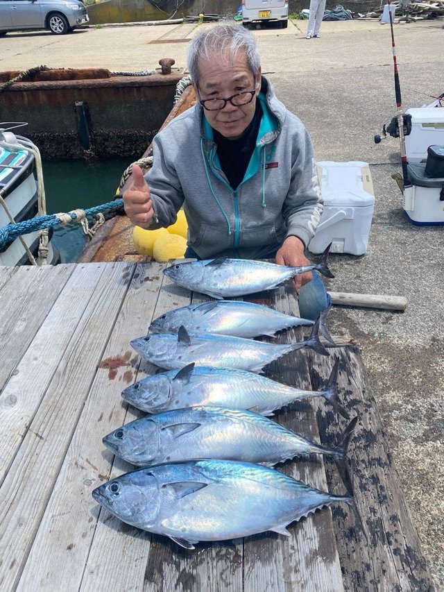 スマガツオ(スマ)