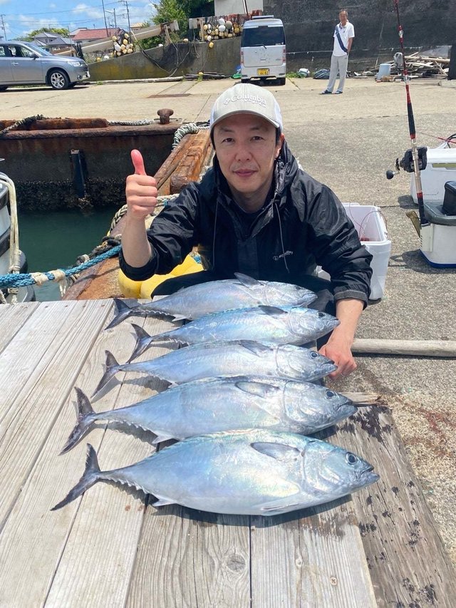 スマガツオ(スマ)