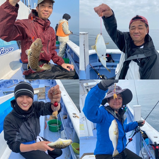 ショウサイフグ