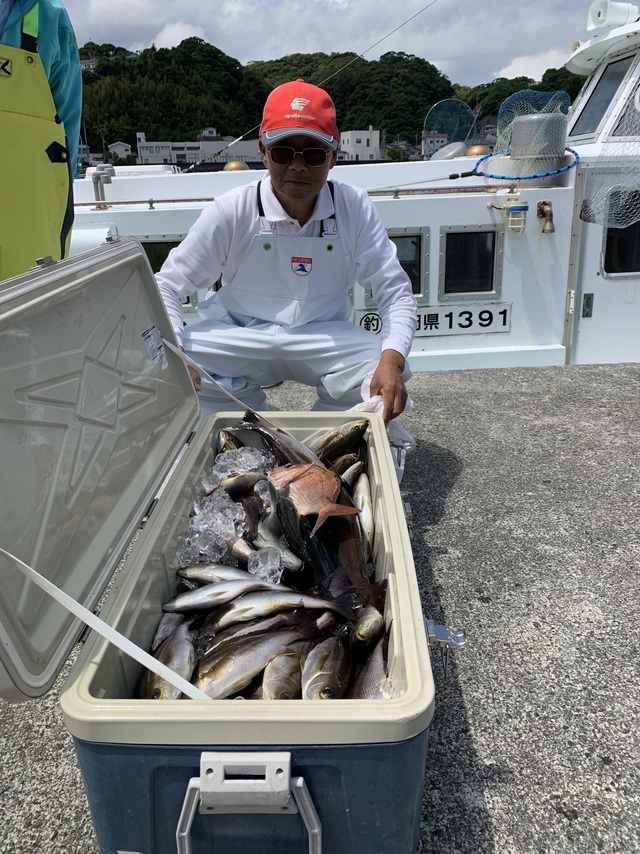 イサギ(イサキ)