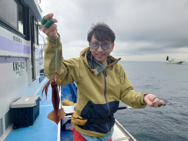 ムギイカ(スルメイカ)