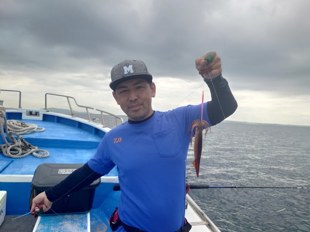 ムギイカ(スルメイカ)