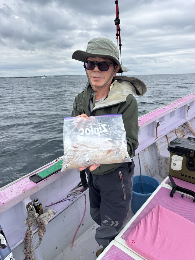 マルイカ(ケンサキイカ)