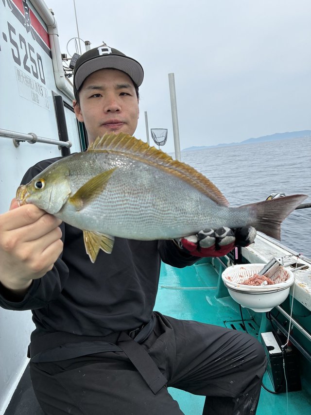 イサギ(イサキ)