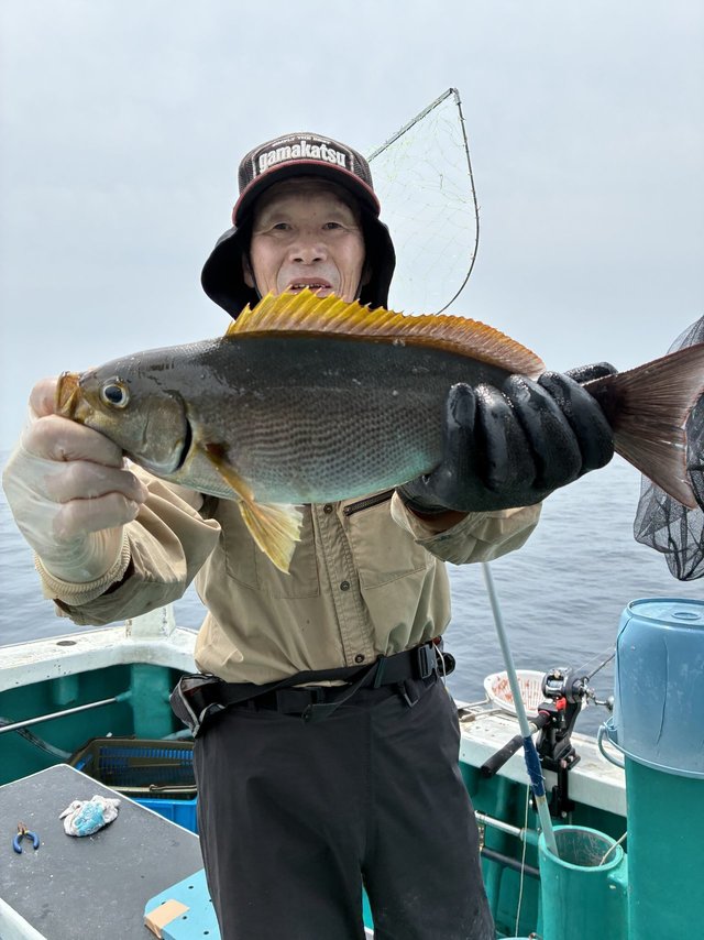 イサギ(イサキ)