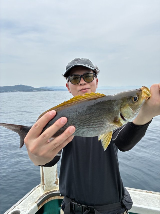 イサギ(イサキ)