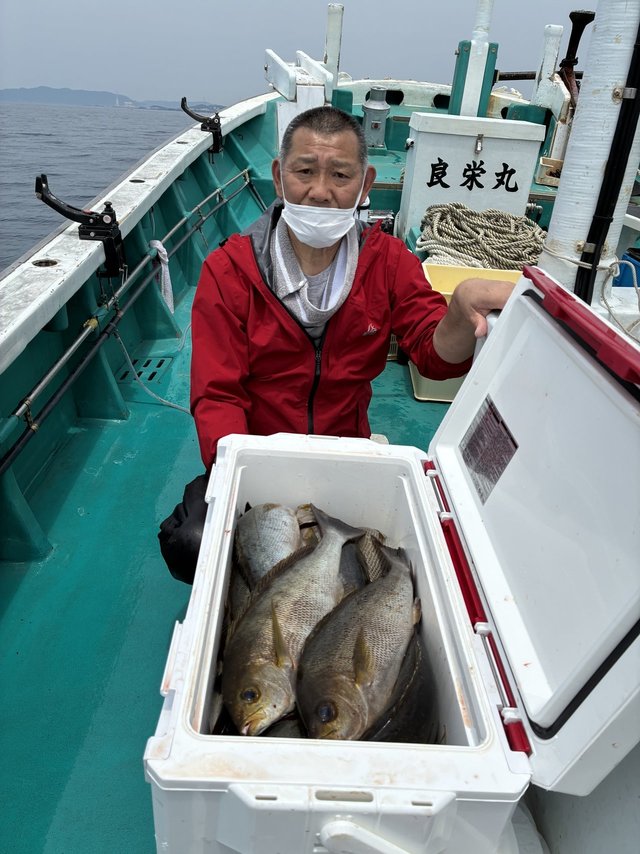 イサギ(イサキ)