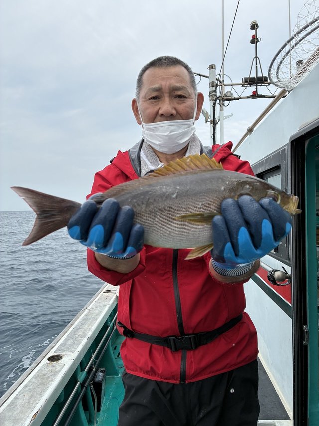 イサギ(イサキ)