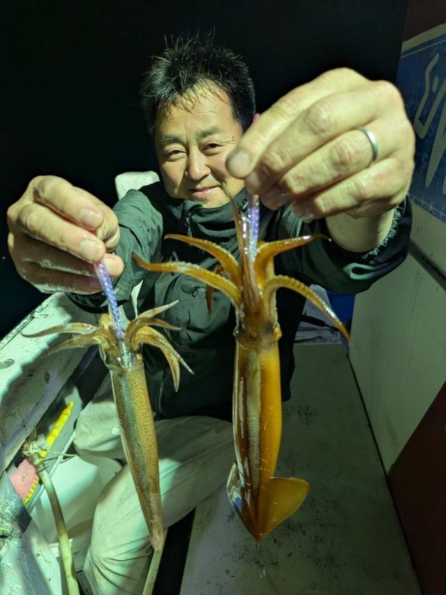 ムギイカ(スルメイカ)