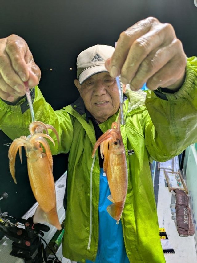 ムギイカ(スルメイカ)