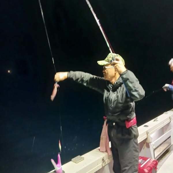 イカ(ヤリイカ)