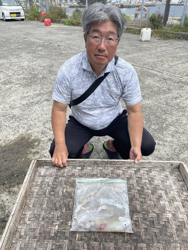 マルイカ(ケンサキイカ)