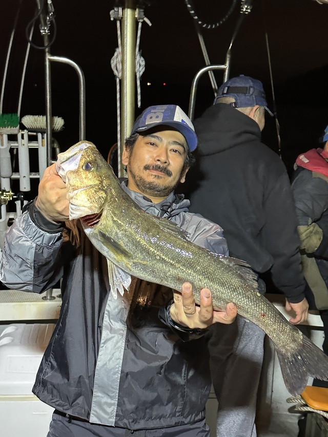 シーバス(スズキ)