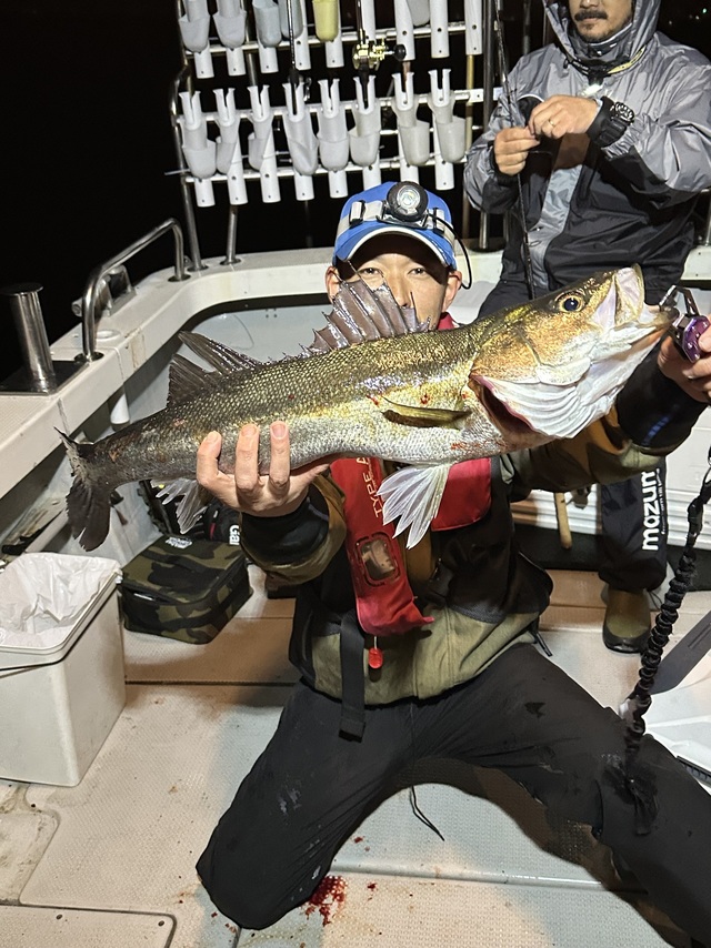 シーバス(スズキ)