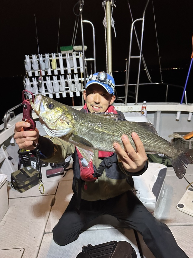 シーバス(スズキ)