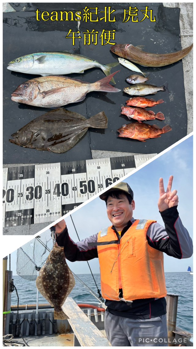 タイ(マダイ)・ハマチ(ブリ)・イサギ(イサキ)・ガシラ(カサゴ)・ヒラメ