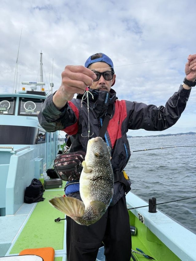 フグ(ショウサイフグ)