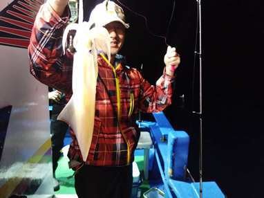 マイカ(ケンサキイカ)